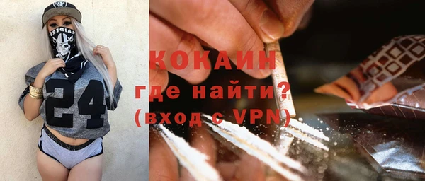 ECSTASY Пересвет