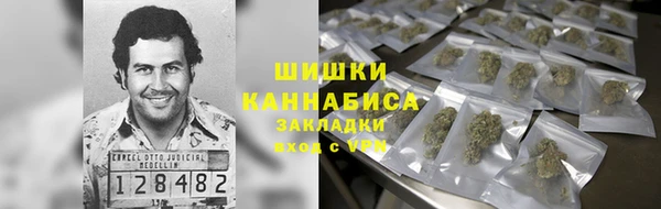 ПСИЛОЦИБИНОВЫЕ ГРИБЫ Михайловск
