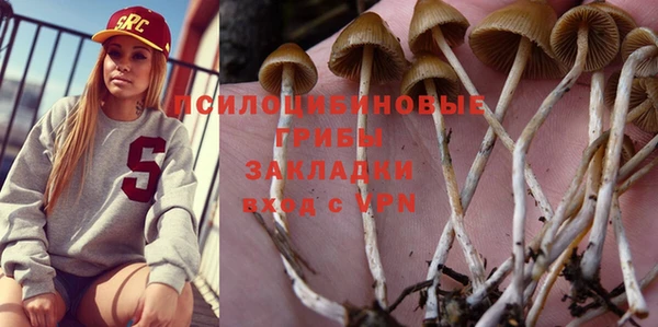 ГАЛЛЮЦИНОГЕННЫЕ ГРИБЫ Медвежьегорск