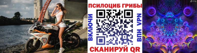 наркотики  Окуловка  Псилоцибиновые грибы мухоморы 